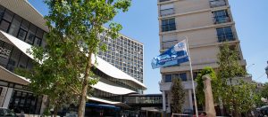 Arbres dans le secteur Bourse