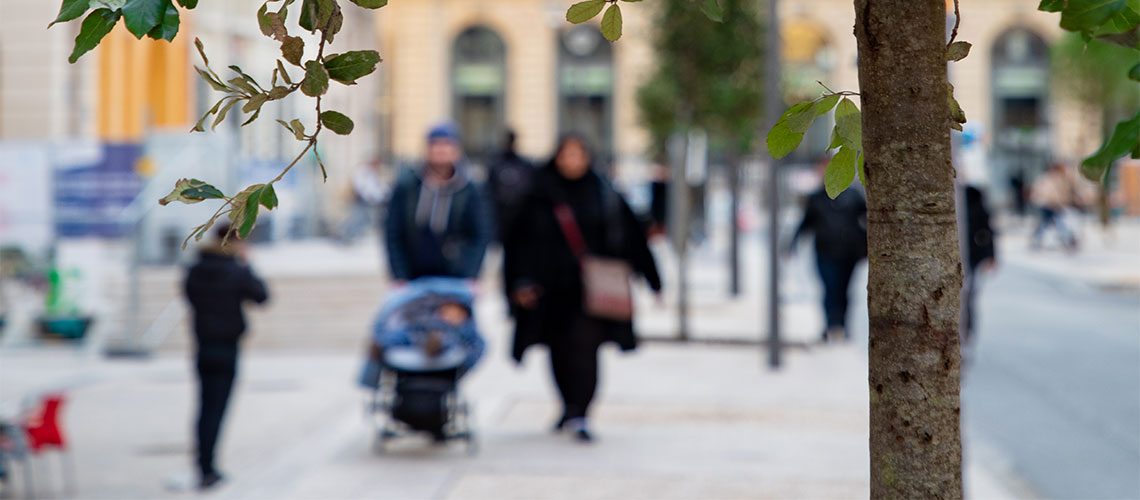 Arbres rue Fabre