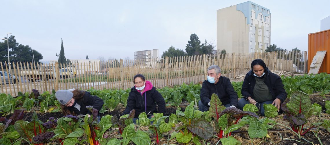 Actus - Jardin restos