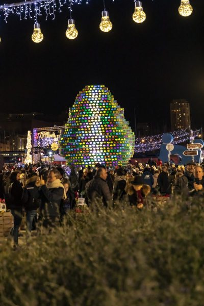 Oeuvre BiodiversiTerre d'hiver de l'artiste Gad Weil